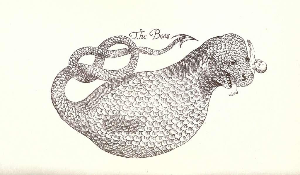 Sketch of a fantastical creature with scales and an enormous belly and a human in its teeth, with the words "The Boas" over its spearheaded snake tail.